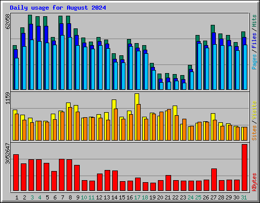 Daily usage for August 2024