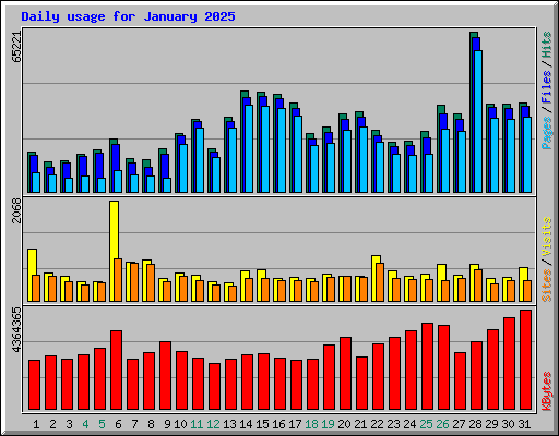 Daily usage for January 2025