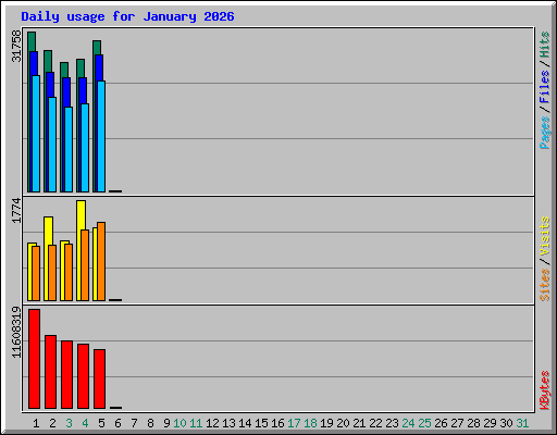 Daily usage for January 2026
