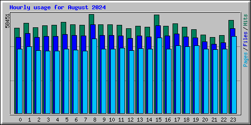 Hourly usage for August 2024