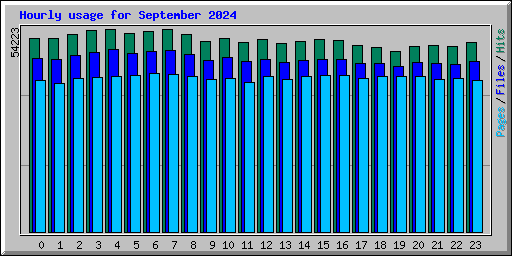 Hourly usage for September 2024