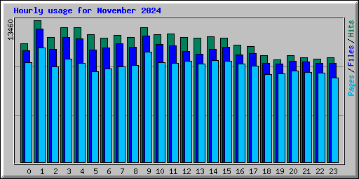 Hourly usage for November 2024