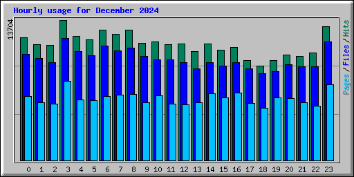 Hourly usage for December 2024