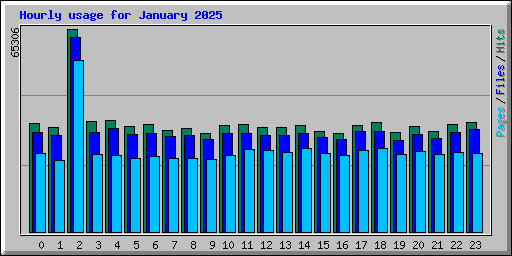 Hourly usage for January 2025