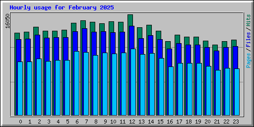 Hourly usage for February 2025