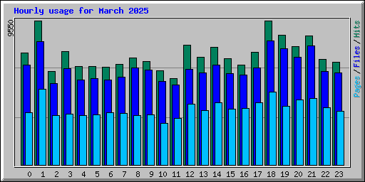 Hourly usage for March 2025