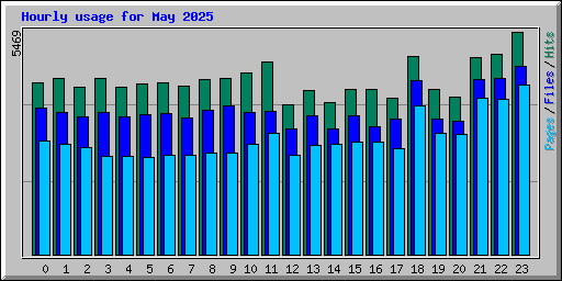 Hourly usage for May 2025