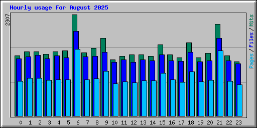 Hourly usage for August 2025