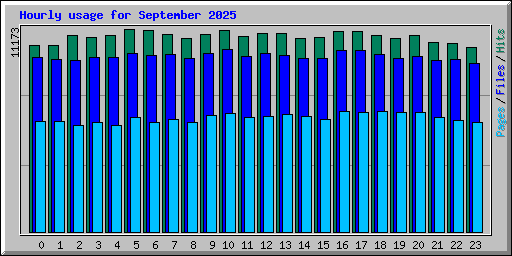 Hourly usage for September 2025