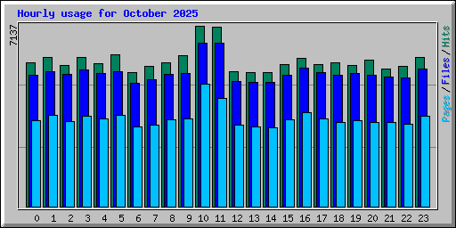 Hourly usage for October 2025