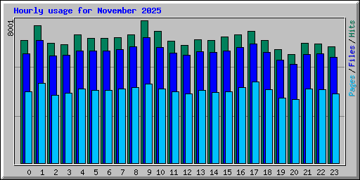Hourly usage for November 2025