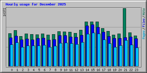 Hourly usage for December 2025