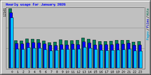 Hourly usage for January 2026