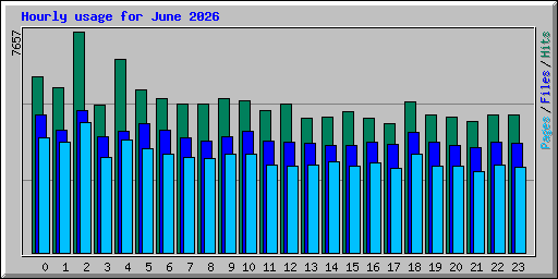 Hourly usage for June 2026